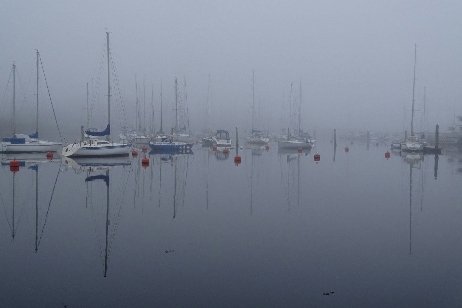 Segelboote in einem nebligen Hafen